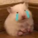 louisekhikume