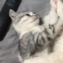 katleal