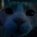 hi.wez