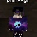 polo68yt8879
