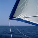 costarship