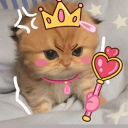 avatar Plüschpopo 🍑🧸