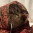 .simply.sarah's avatar