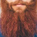 serbeardless2140
