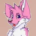 wondarkus