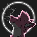 wondarkus