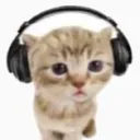 gatodavizinha