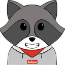 ronnyraccoon2478