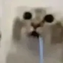 auxtratmain