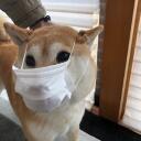 ばや