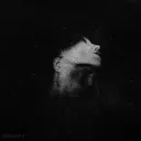 crosworth avatar