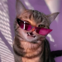 LordLiam
