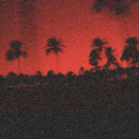 avatar 𝔗𝔯𝔲𝔫𝔵