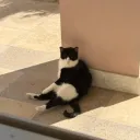 petergriffin_678