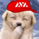 le0xn