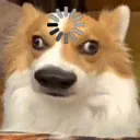kira_bot2