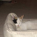 avatar 🪼CaramelMochi🪼