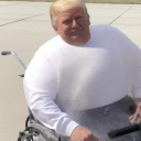 avatar Ally Donald Trump