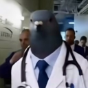 avatar Doctor pigeon