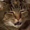 mi0ew