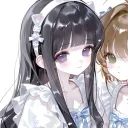 wipl