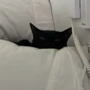 deeyawne