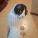 Аватар belash1324