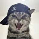 _.eedoo