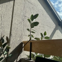 avatar Teenage1drtbag_bby5050