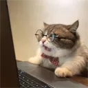 head_of_community