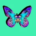 beautifulcryptobutterflies9637