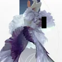 kiunev