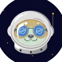 dogelumensrocket