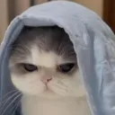 aryn_19