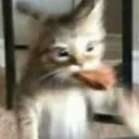 kiki_is_rt