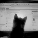 Аватар lyagushka4390