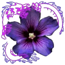 xploa