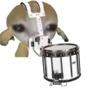 jaythejummer