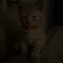teddzyy