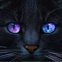 𝓢 𝓜  𝓝. avatar