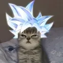 neelnb1