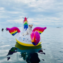 avatar ꜱᴄᴀʀʟᴇᴛ