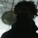 wolfiezzzt