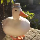 ducky510984