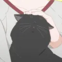 cattyttac
