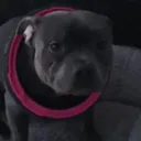 imscared.exe
