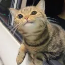 terlampaupandai