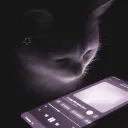 togaslover_1