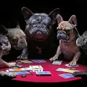 acenftpoker9309