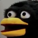 dev1_dev1